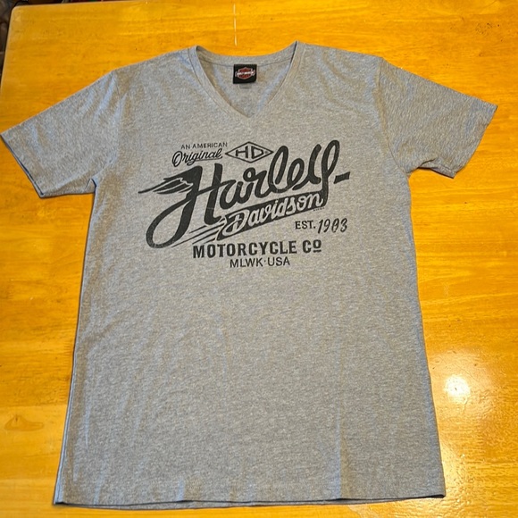 Harley-Davidson Other - Harley Davidson men’s v-neck t-shirt